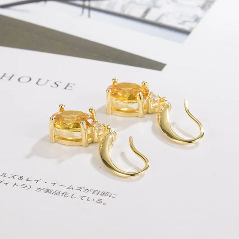 ER22Y0439 Earrings