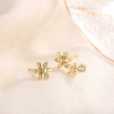 Fashion Earrings