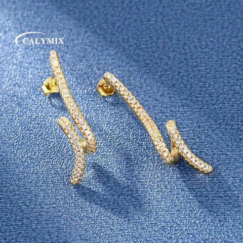E2915 Earrings