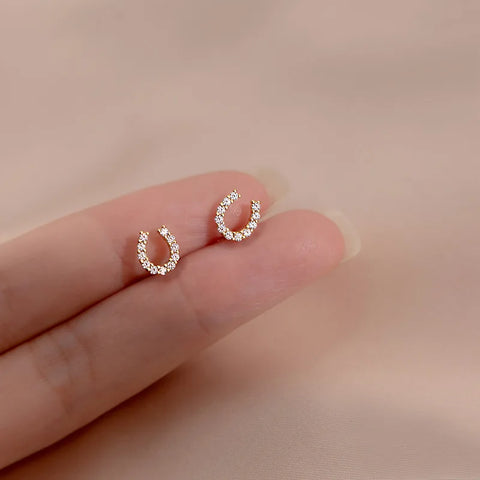 Fashion Earrings