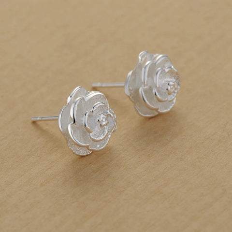 Original 925 Sterling Silver New Earrings