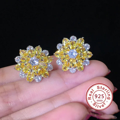 Cute Big AAAAA Bling Cubic Zirconia  Earrings