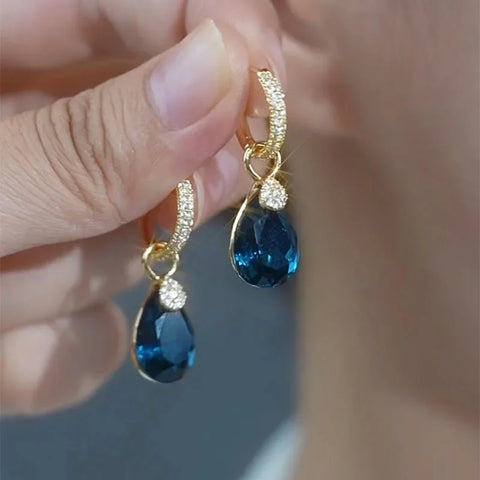 ER22Y0252 Earrings