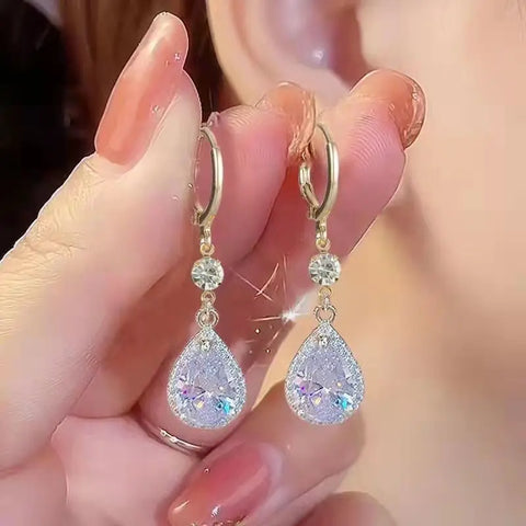 ER22Y0927 Earrings