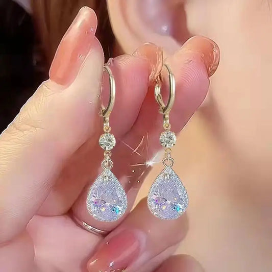 ER22Y0927 Earrings