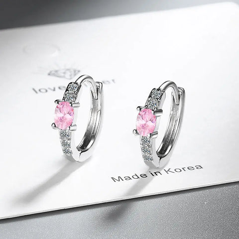 New 925 Sterling Silver Earrings AAA Zircon Earring
