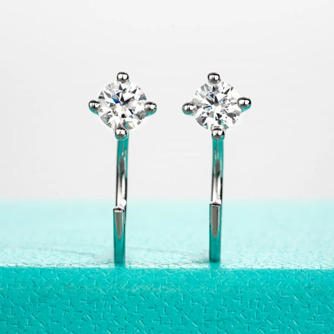 AnuJewel 4mm D Color Moissanites Classic Hoop Earrings