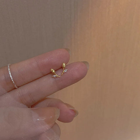 Fashion Earrings