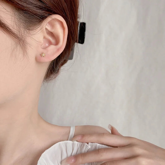 Fashion Earrings
