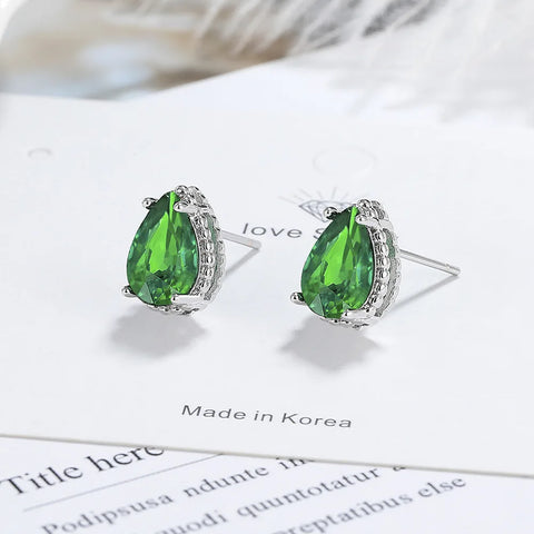 New 925 Sterling Silver Earrings AAA Zircon Earring