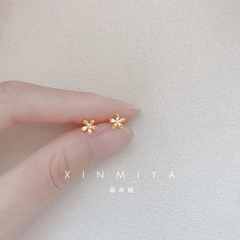 Fashion Earrings