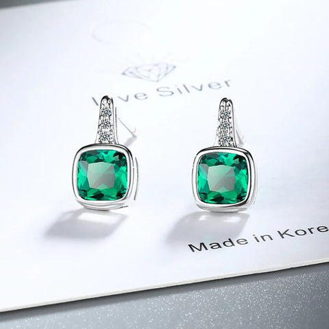 New 925 Sterling Silver Earrings AAA Zircon Earring