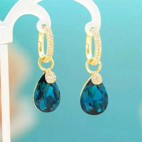 ER22Y0252 Earrings