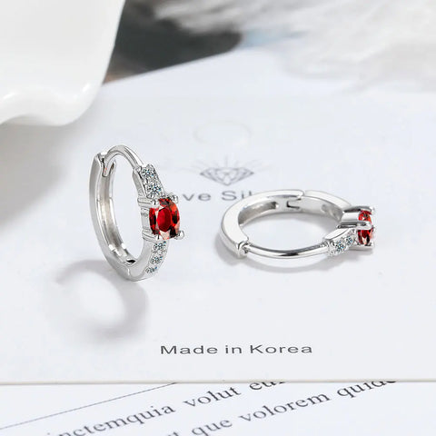 New 925 Sterling Silver Earrings AAA Zircon Earring