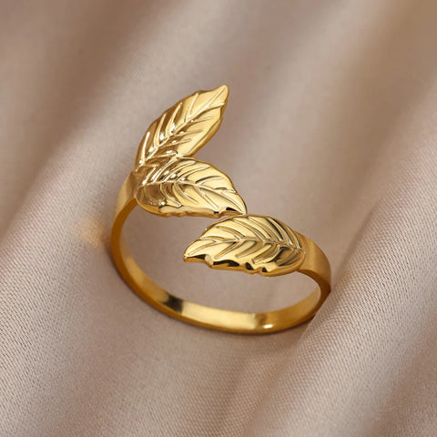 Stainless Steel Rings