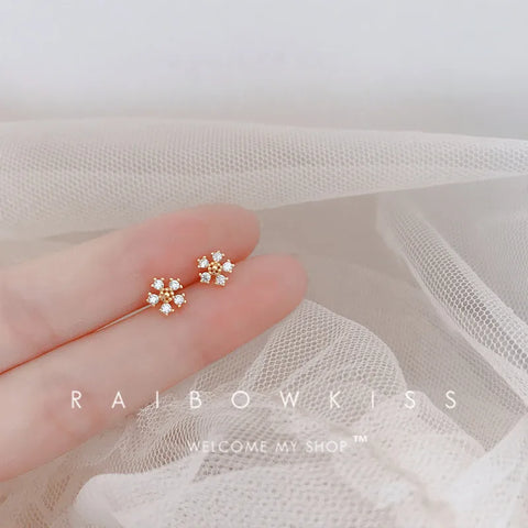 Fashion Earrings