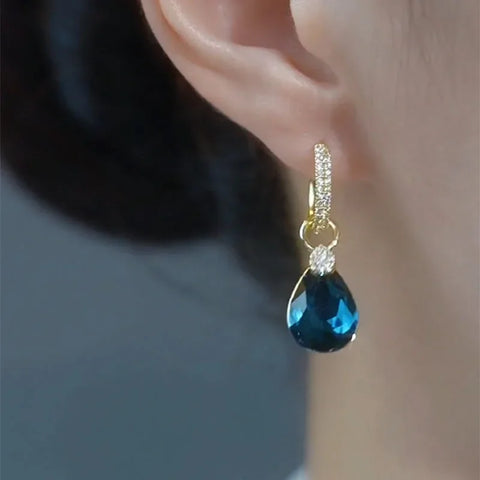 ER22Y0252 Earrings