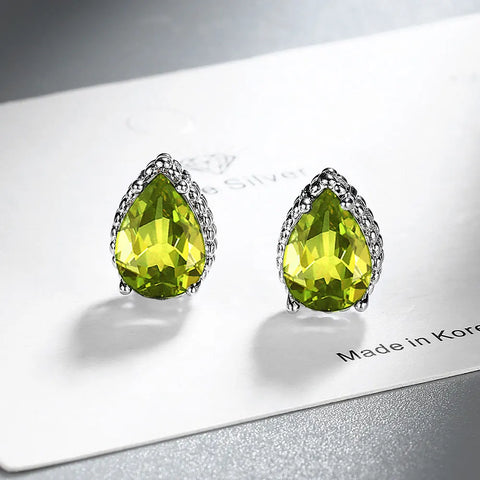 New 925 Sterling Silver Earrings AAA Zircon Earring