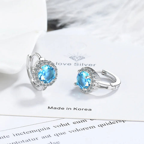 New 925 Sterling Silver Earrings AAA Zircon Earring