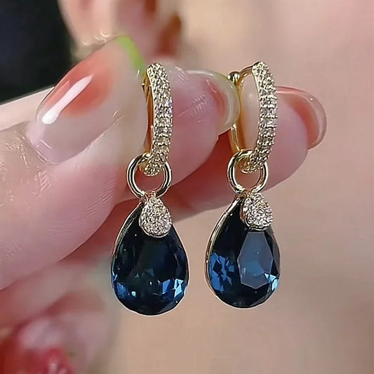 ER22Y0252 Earrings