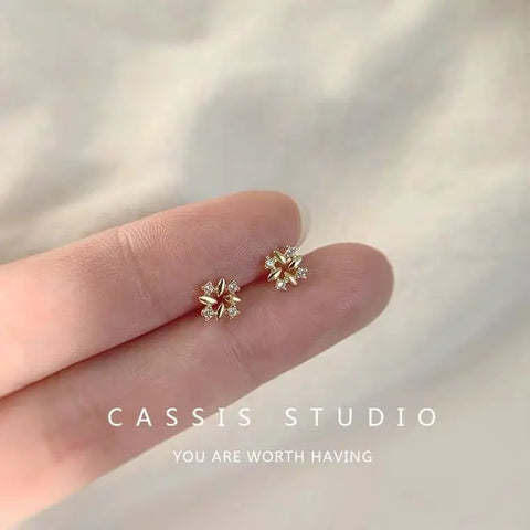 Fashion Earrings