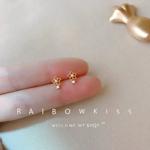 Fashion Earrings