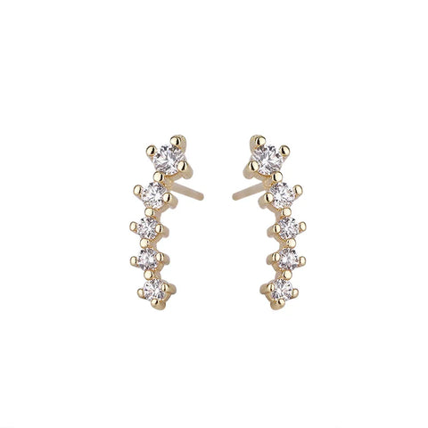 Fashion Earrings
