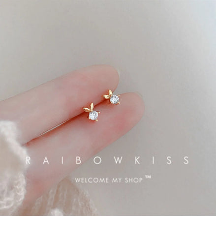 Fashion Earrings