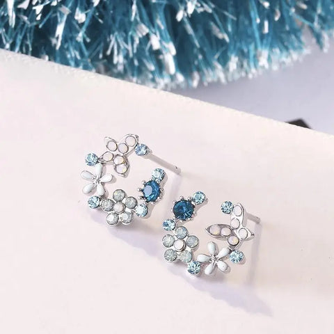 ER24Y0238 Earrings