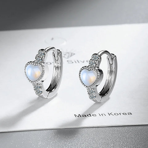 New 925 Sterling Silver Earrings AAA Zircon Earring