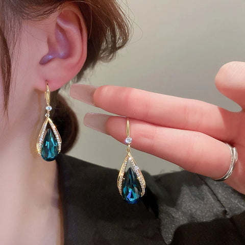 ER22Y0927 Earrings
