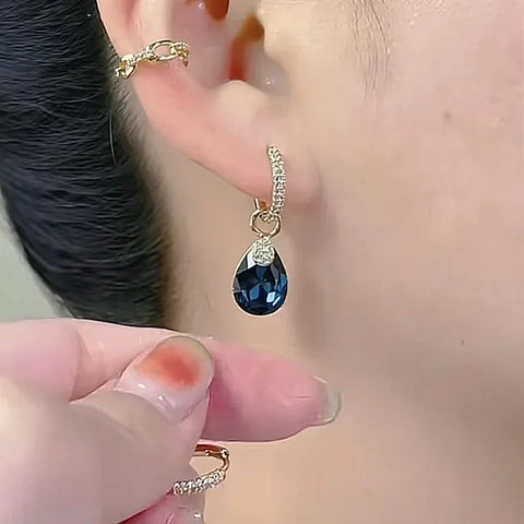 ER22Y0252 Earrings