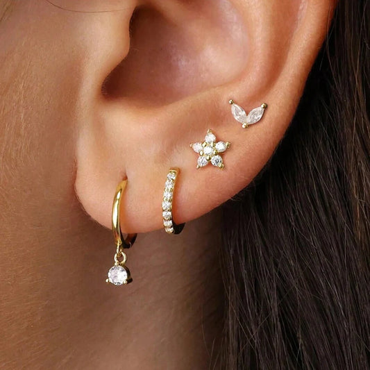 ER24Y0239 Earrings