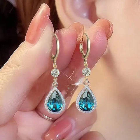 ER22Y0927 Earrings