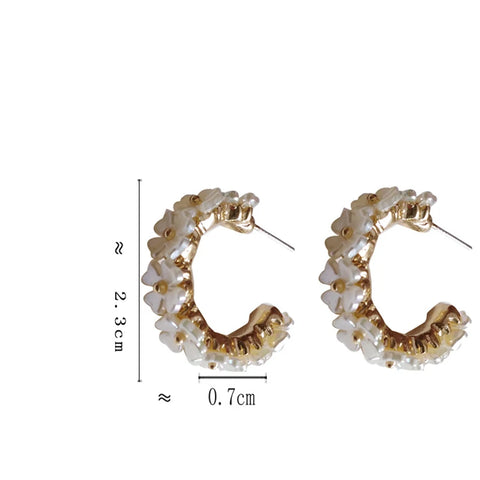 E2996 Earrings
