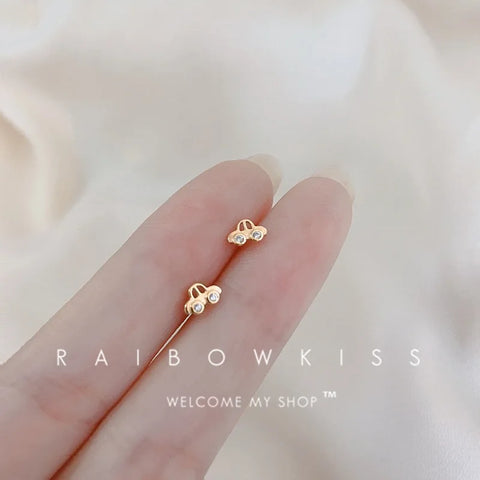 Fashion Earrings