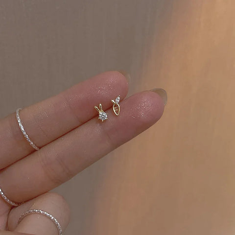 Fashion Earrings