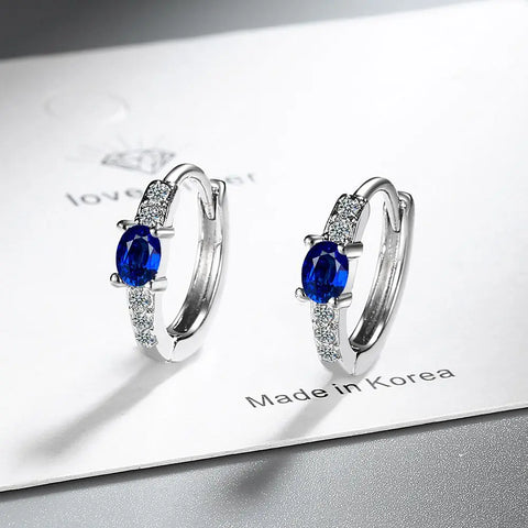 New 925 Sterling Silver Earrings AAA Zircon Earring