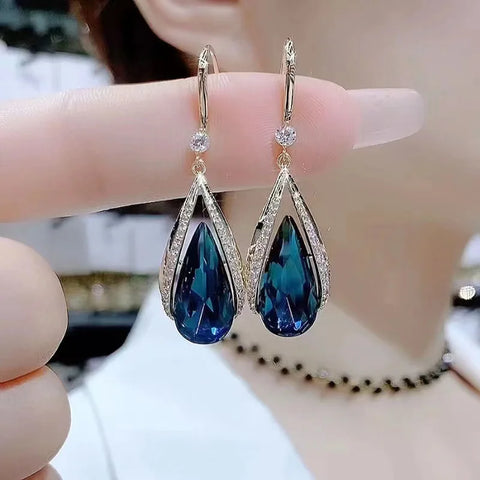 ER22Y0927 Earrings