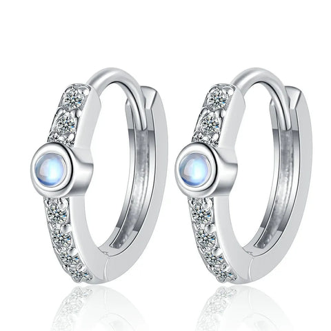 New 925 Sterling Silver Earrings AAA Zircon Earring