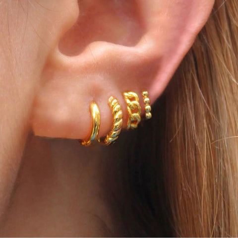 ER24Y0239 Earrings