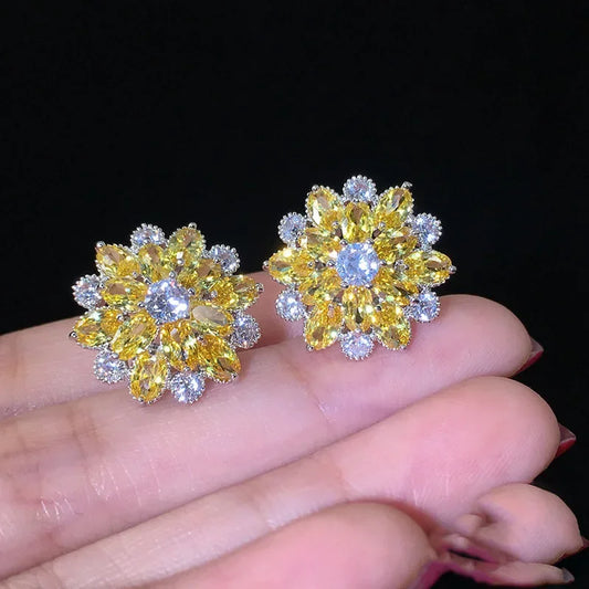 Cute Big AAAAA Bling Cubic Zirconia  Earrings