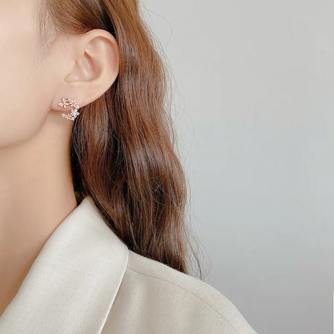 E3526 Earrings