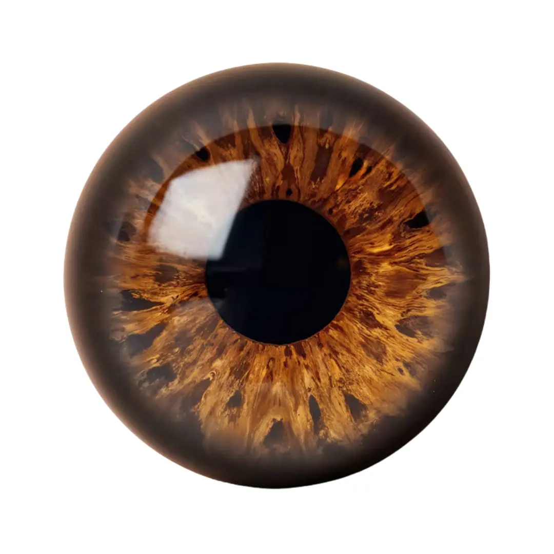 lenses